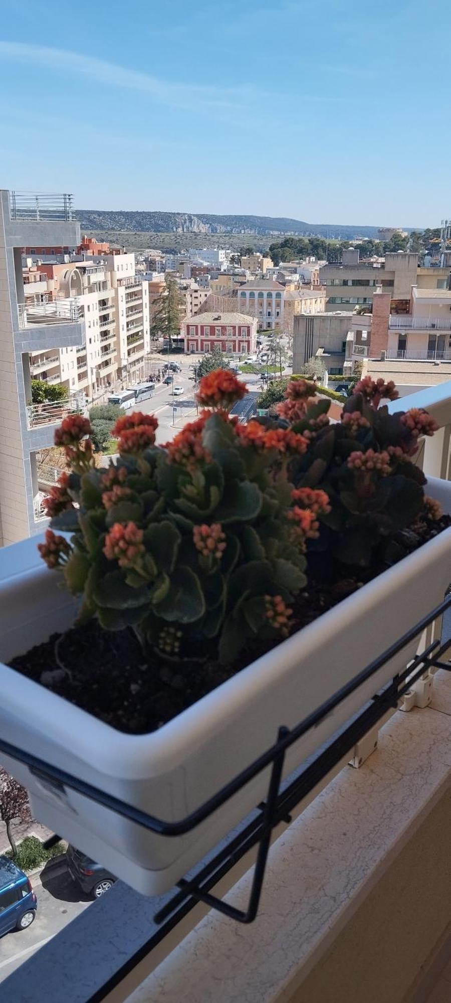 My Home Matera Exterior foto